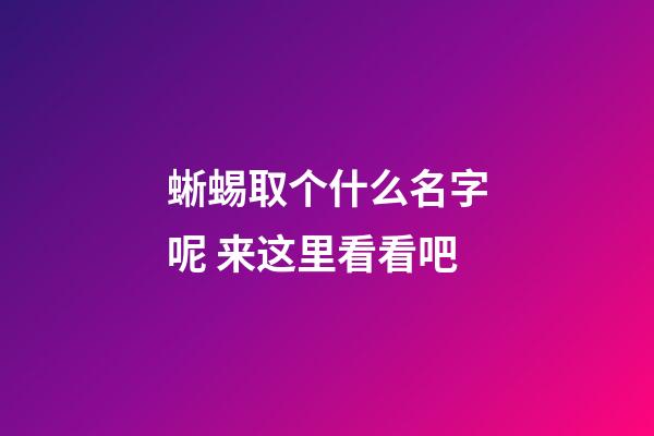 蜥蜴取个什么名字呢 来这里看看吧
